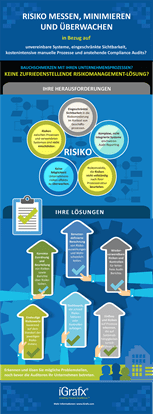 iGrafx Infografik Risikomanagement