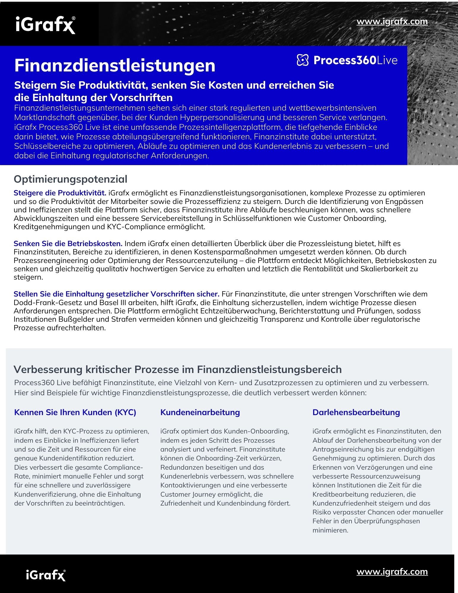 Financial Services Datasheet - DE