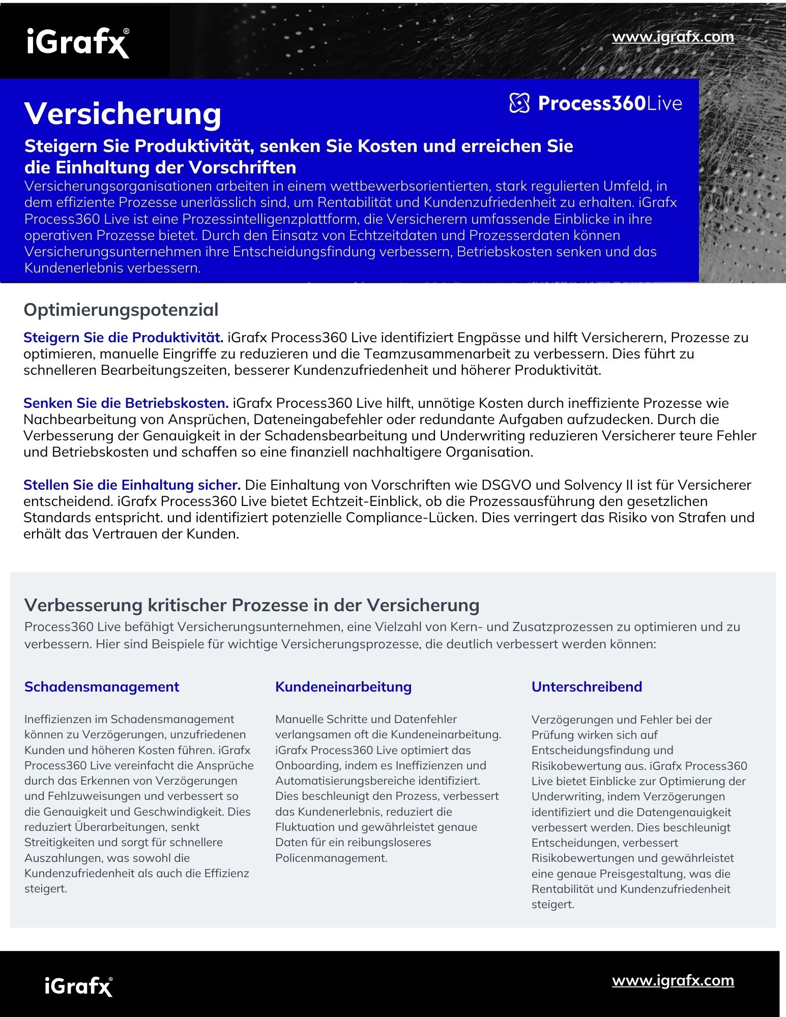 Insurance Datasheet - DE
