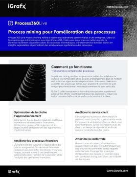 Process Mining for Process Improvement - FR