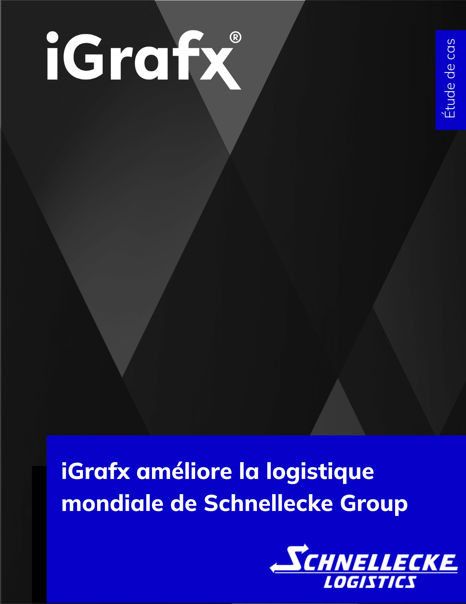 iGrafx améliore la logistique mondiale de Schnellecke Group