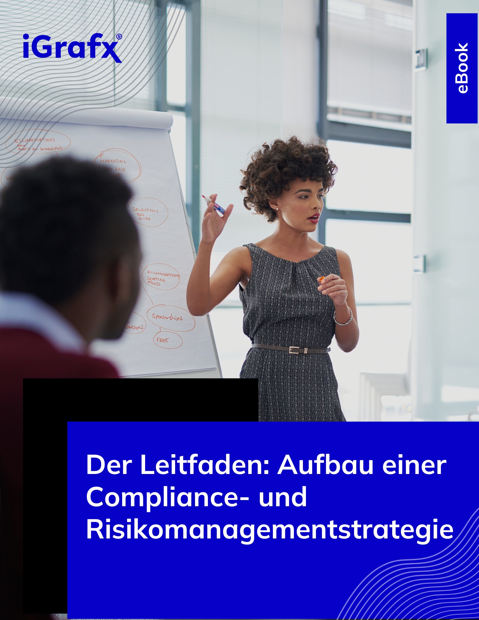 Der Leitfaden: Aufbau einer Compliance- und Risikomanagementstrategie