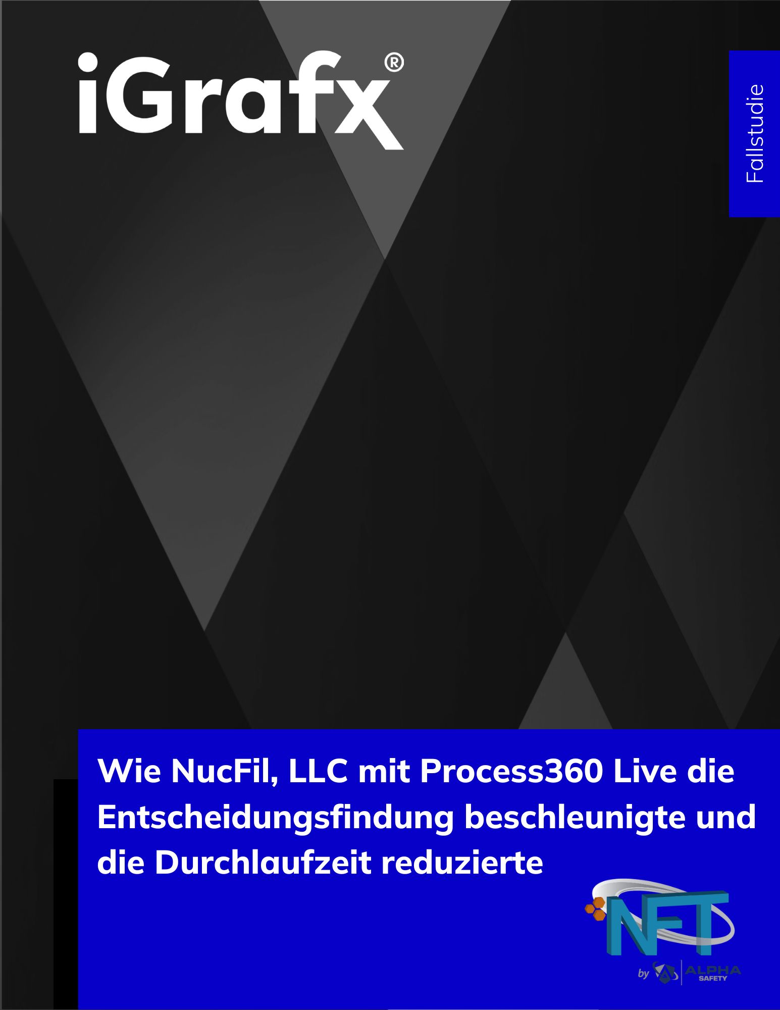 NucFil Case Study - DE