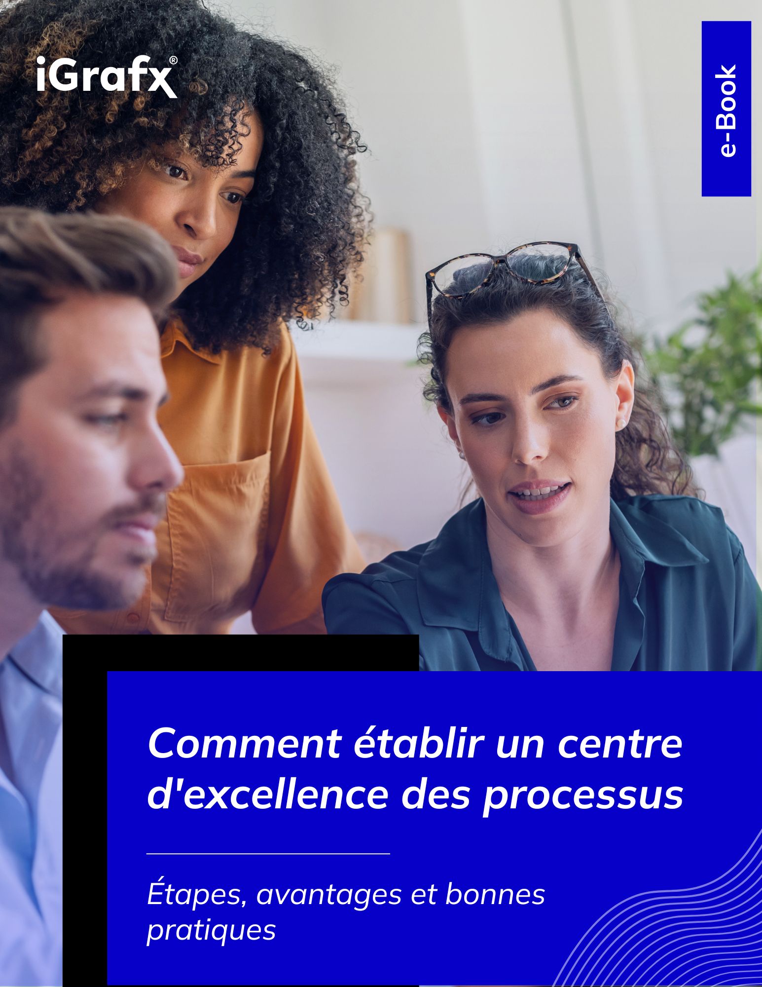 Process Center of Excellence eBook - FR